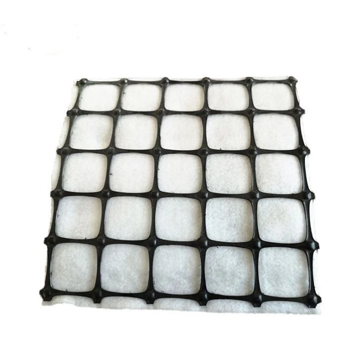 Geogrid-3